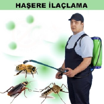 Mazgirt Böcek İlaçlama